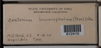 Image Associated With the Occurence